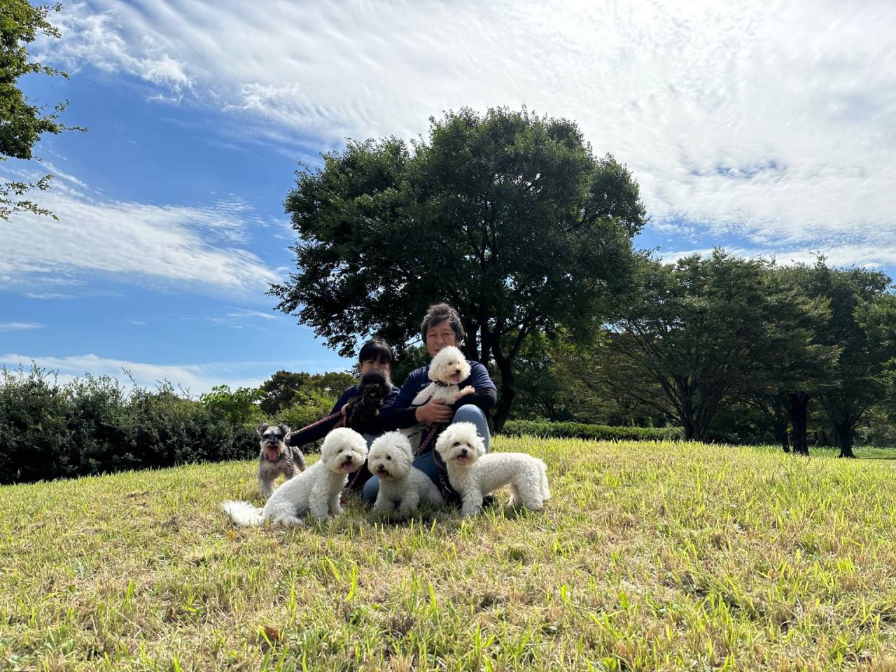 エアコンクリーニング専門店Wash